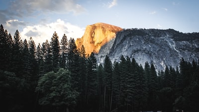 Forests and mountain during the day
